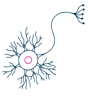 Male and Female Chest