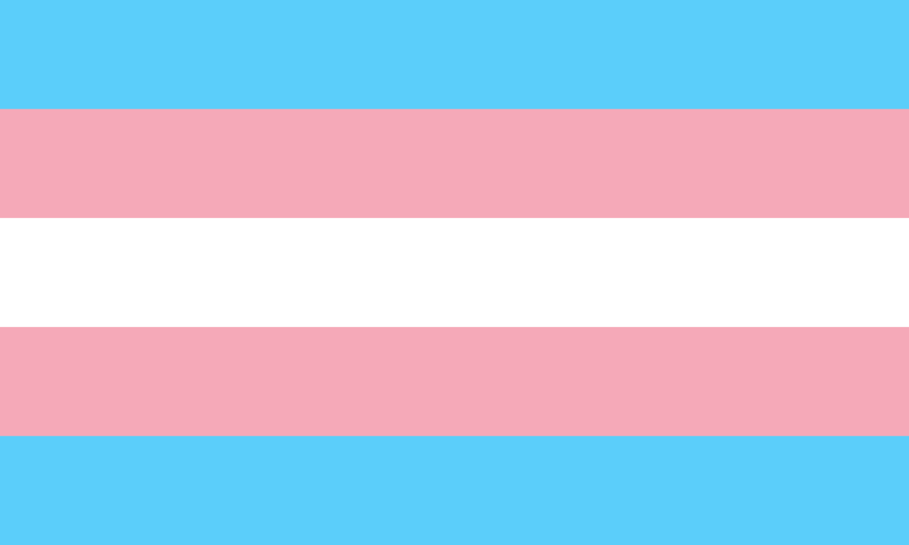 Transgender Support Flag